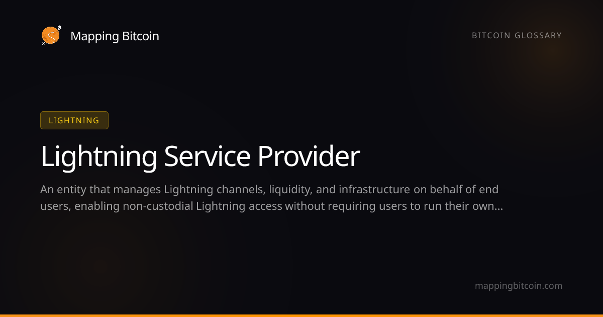 Lightning Service Provider | Glossary | Mapping Bitcoin
