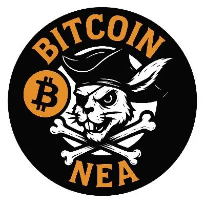 Bitcoin NEA